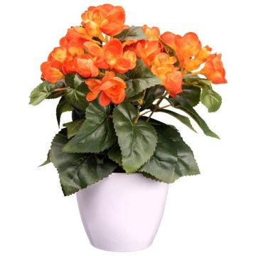 Künstliche Blume Begonie SYLINA, weißer Dekotopf, orange, 30cm