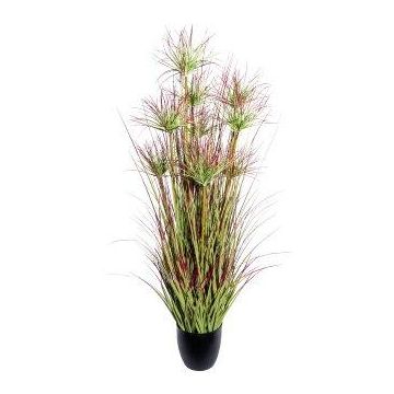 Deko Gras Papyruspflanze DARSA im Dekotopf, grün-rot, 125cm