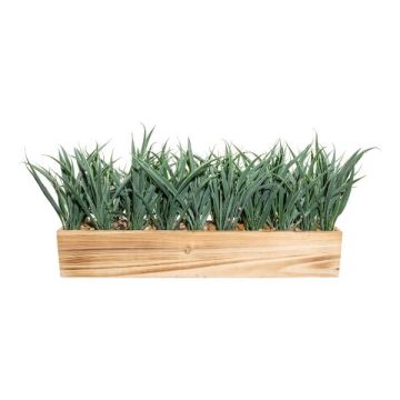 Deko Gras Schilf WENMAL im Holzkasten, grün, 52x10x23cm Deko Gras Schilf WENMAL im Holzkasten, grün, 52x10x23cm