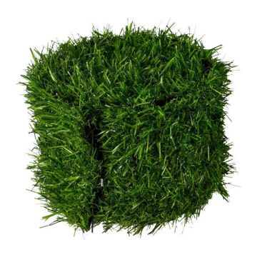 Kunstrasen Matte CEFRA, grün, 10x180cm