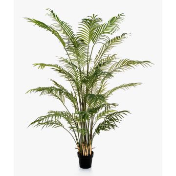 Künstliche Areca Palme LUVA, 205cm Künstliche Areca Palme LUVA, 205cm