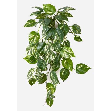 Kunstpflanzen Hänger Efeutute DRAGAN auf Steckstab, schwer brennbar, grün-weiß, 70cm