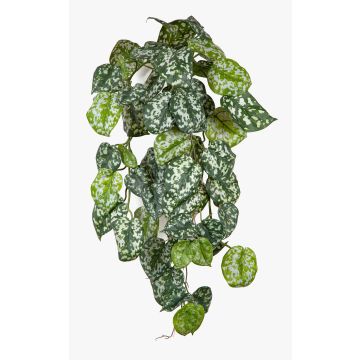 Künstlicher Pflanzenhänger gefleckte Efeutute RONELIO auf Steckstab, schwer brennbar, grün-weiß, 70cm Künstlicher Pflanzenhänger gefleckte Efeutute RONELIO auf Steckstab, schwer brennbar, grün-weiß, 70cm