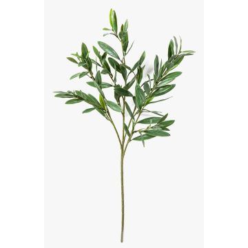 Kunst Olivenzweig BRANDAR, crossdoor, grün, 70cm
