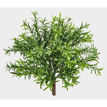 Künstliches Küchenkraut Rosmarin ORSOLA auf Steckstab, schwer brennbar, grün, 30cm Künstliches Küchenkraut Rosmarin ORSOLA auf Steckstab, schwer brennbar, grün, 30cm