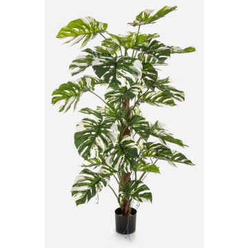 Kunstpflanze Philodendron Monstera Deliciosa Variegata MEBSUTA, grün-weiß, 160cm