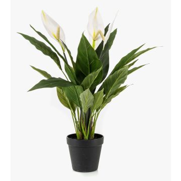 Einblatt Kunstpflanze RANIESO, Dekotopf, Blüten, weiß, 55cm