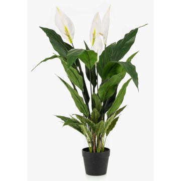 Einblatt Kunstpflanze RANIESO, Dekotopf, Blüten, weiß, 90cm