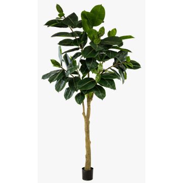 Künstlicher Gummibaum BAKWEN, Kunststamm, grün, 300cm