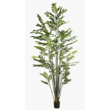 Künstliche Bergpalme BAKNEL, 300cm