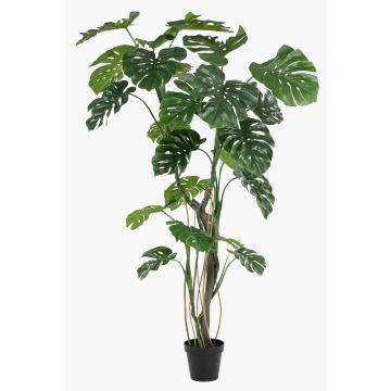 Kunstpflanze Philodendron monstera deliciosa TANIESO, Kunststamm, Luftwurzeln, 210cm Kunstpflanze Philodendron monstera deliciosa TANIESO, Kunststamm, Luftwurzeln, 210cm