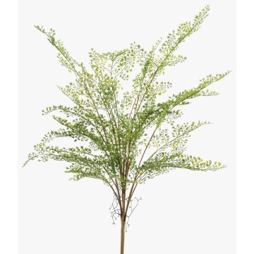 Künstliche Pflanze Frauenhaarfarn GLERAN auf Steckstab, Wurzeln, grün, 75cm