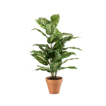 Künstliche Pflanze Dieffenbachia ELSAWA im Terracottatopf, grün, 65cm