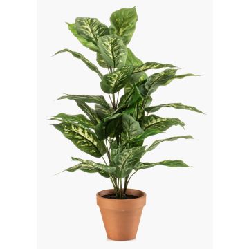 Künstliche Pflanze Dieffenbachia ELSAWA im Terracottatopf, grün, 65cm Künstliche Pflanze Dieffenbachia ELSAWA im Terracottatopf, grün, 65cm