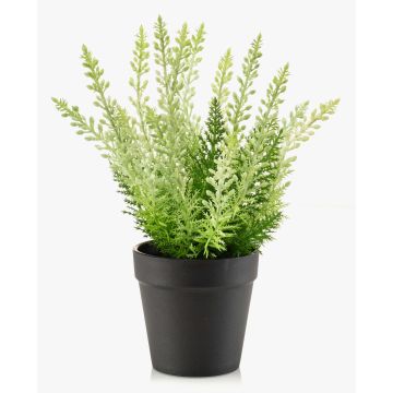 Künstliche Erika ELSAWO im Dekotopf, crossdoor, weiß-grün, 30cm