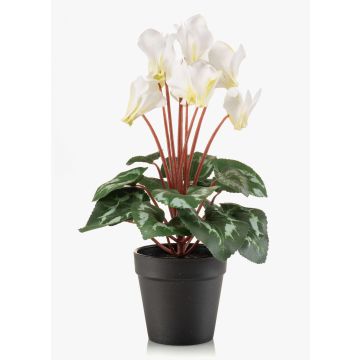 Künstliche Alpenveilchen VERIANA im Dekotopf, weiß-grün, 30cm