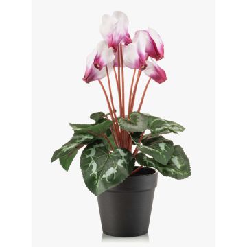 Künstliche Alpenveilchen VERIANA im Dekotopf, weiß-pink, 30cm