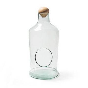 Pflanzen Terrarium DULZE aus Eco Glas, Holzdeckel, klar, 35cm, Ø17cm