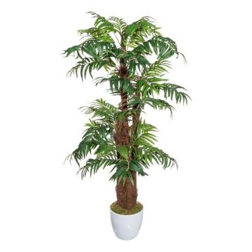 Plastikpalme Areca JANLO im Keramiktopf, 150cm