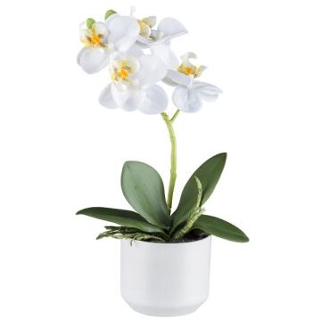 Textil Phalaenopsis Orchidee WERKAN, Keramiktopf, Wurzeln, weiß, 27cm