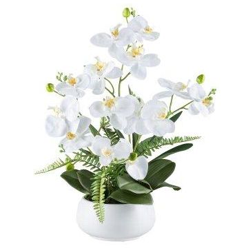 Kunstblumen Gesteck Orchidee Farn SALTER in Keramikschale, weiß, 55cm