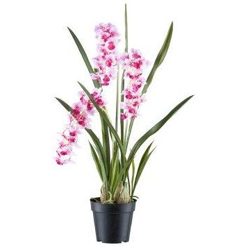 Deko Blume Cymbidium Orchidee KLORVEN, Wurzeln, weiß-lila, 80cm