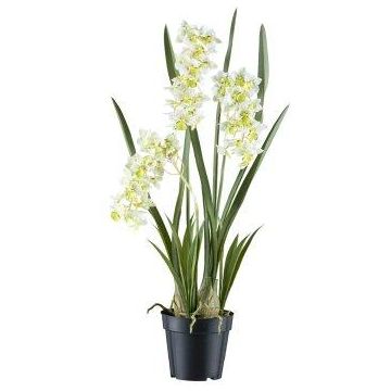 Deko Blume Cymbidium Orchidee KLORVEN, Wurzeln, weiß-grün, 80cm