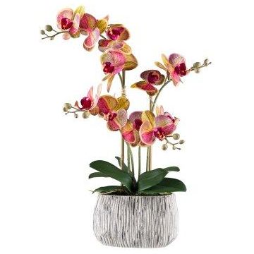 Kunst Phalaenopsis Orchidee BLORVEN, Zementschale, Wurzeln, gelb-pink, 55cm