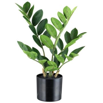 Künstliche Pflanze Zamioculcas BLUHAR, 35cm Künstliche Pflanze Zamioculcas BLUHAR, 35cm