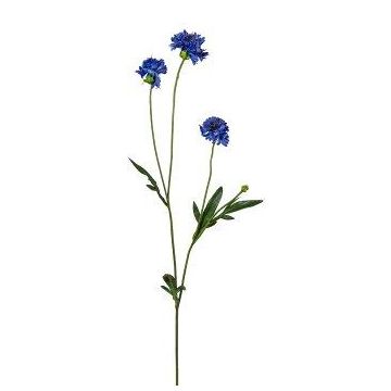 Deko Zweig Kornblume FLUNK, blau, 60cm, Ø4-5cm Deko Zweig Kornblume FLUNK, blau, 60cm, Ø4-5cm