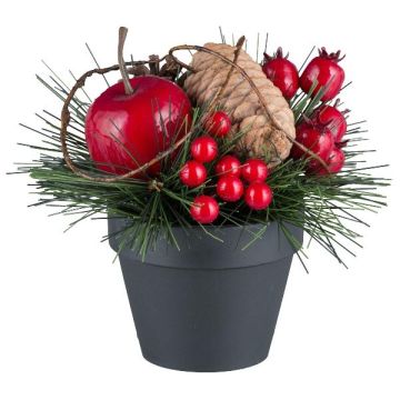 Künstliches Gesteck Kiefer KALAZI, Dekotopf, Kirsche, Zapfen, Hagebutte, rot, 15cm Künstliches Gesteck Kiefer KALAZI, Dekotopf, Kirsche, Zapfen, Hagebutte, rot, 15cm