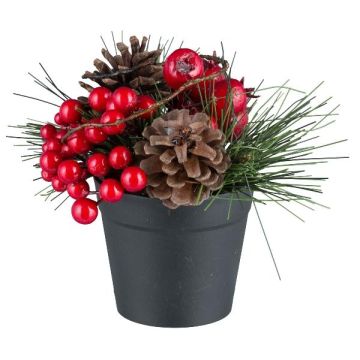 Künstliches Gesteck Kiefer KALAZI, Dekotopf, Zapfen, Hagebutte, rot, 13cm Künstliches Gesteck Kiefer KALAZI, Dekotopf, Zapfen, Hagebutte, rot, 13cm