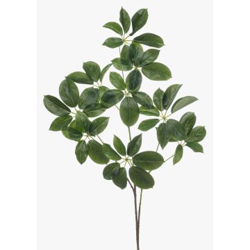 Deko Zweig Schefflera PARVANEH, grün, 110cm
