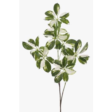 Deko Zweig Schefflera PARVANEH, grün-weiß, 110cm