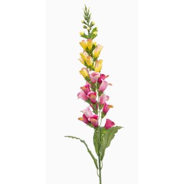 Kunstblume Fingerhut SCHYNRA, gelb-rosa, 95cm Kunstblume Fingerhut SCHYNRA, gelb-rosa, 95cm