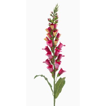Kunstblume Fingerhut SCHYNRA, pink-gelb, 95cm Kunstblume Fingerhut SCHYNRA, pink-gelb, 95cm