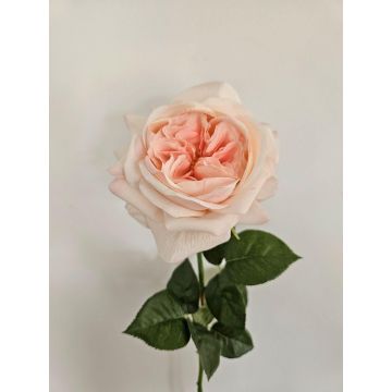 Rose künstlich GINAKAL, hellrosa, 65cm