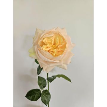 Rose künstlich GINAKAL, aprikose, 65cm