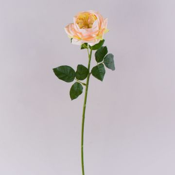 Rose künstlich GINAKAL, aprikose, 65cm Rose künstlich GINAKAL, aprikose, 65cm