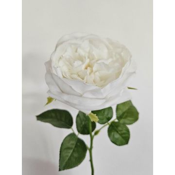 Rose künstlich GINAKAL, creme-weiß, 65cm Rose künstlich GINAKAL, creme-weiß, 65cm