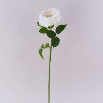 Rose künstlich GINAKAL, creme-weiß, 65cm Rose künstlich GINAKAL, creme-weiß, 65cm