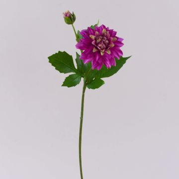 Kunstblume Dahlie WERNYT, violett, 45cm, Ø10cm Kunstblume Dahlie WERNYT, violett, 45cm, Ø10cm