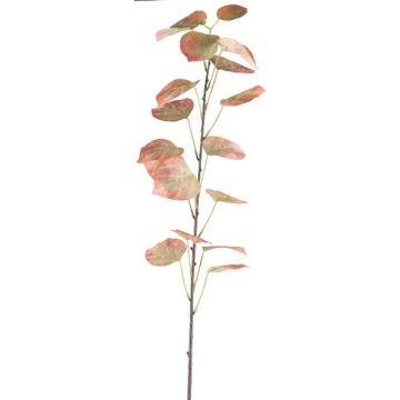 Dekozweig Schwarzpappel SOLVEN, rot-grün, 120cm