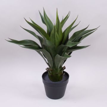 Künstliche Agave furcraea gigantea BERIC, grün, 60cm Künstliche Agave furcraea gigantea BERIC, grün, 60cm