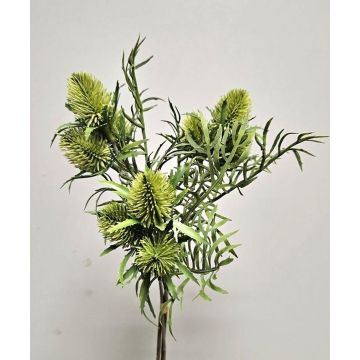 Kunstblumenstrauß Edeldistel Bund SEKLINA, grün, 35cm Kunstblumenstrauß Edeldistel Bund SEKLINA, grün, 35cm