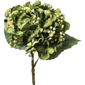Künstliche Hortensie MYNMAR, grün, 35cm