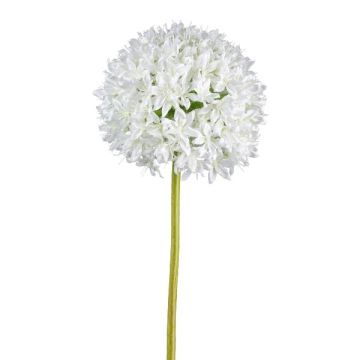 Künstliche Blume Allium KLATE, weiß, 90cm, Ø15cm