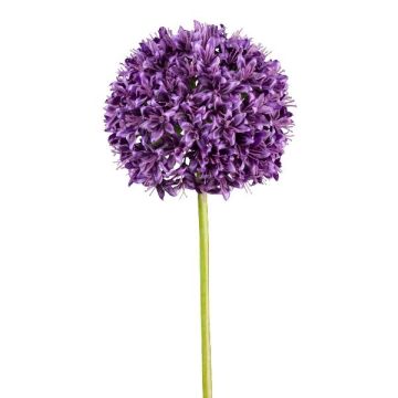 Künstliche Blume Allium KLATE, violett, 90cm, Ø15cm