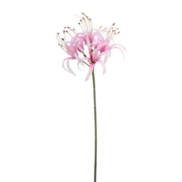 Künstliche Gartenamaryllis NANFAJI, rosa, 65cm