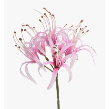 Künstliche Gartenamaryllis NANFAJI, rosa, 65cm